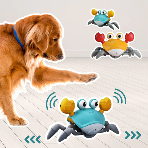 FurryFriends™ Crawling Crab