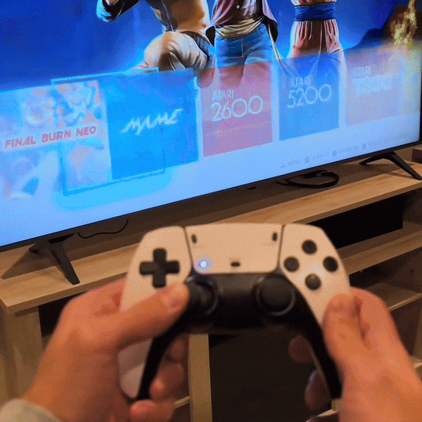 Retro Game Fun Stick