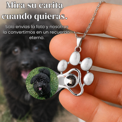 Collar de Mascota Personalizado