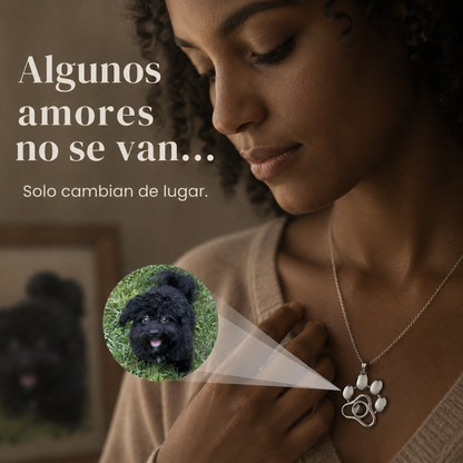 Collar de Mascota Personalizado