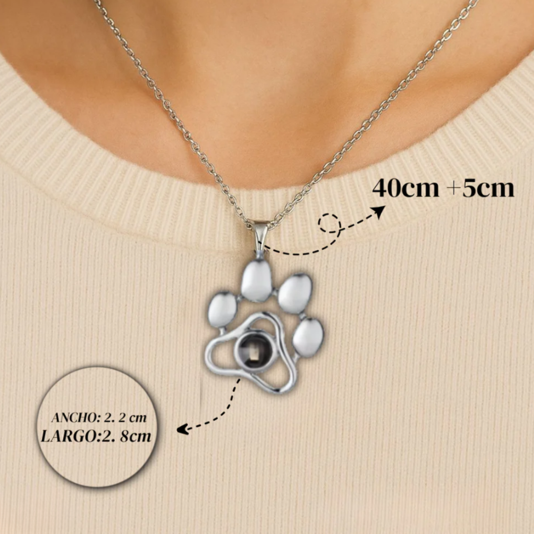 Collar de Mascota Personalizado