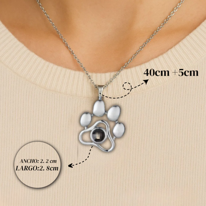 Collar de Mascota Personalizado