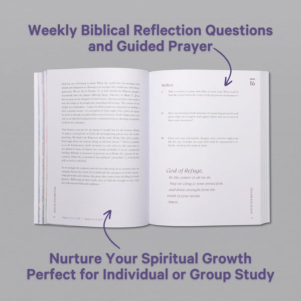 A Beautiful Year Bible Study
